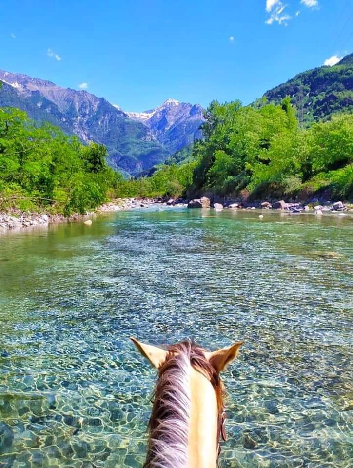 Bambini al lago alpino