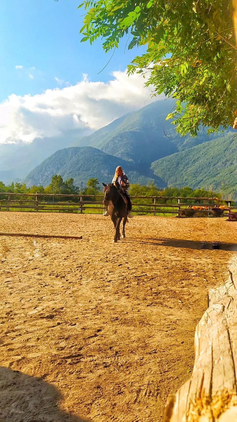 Cavallo e falò al tramonto