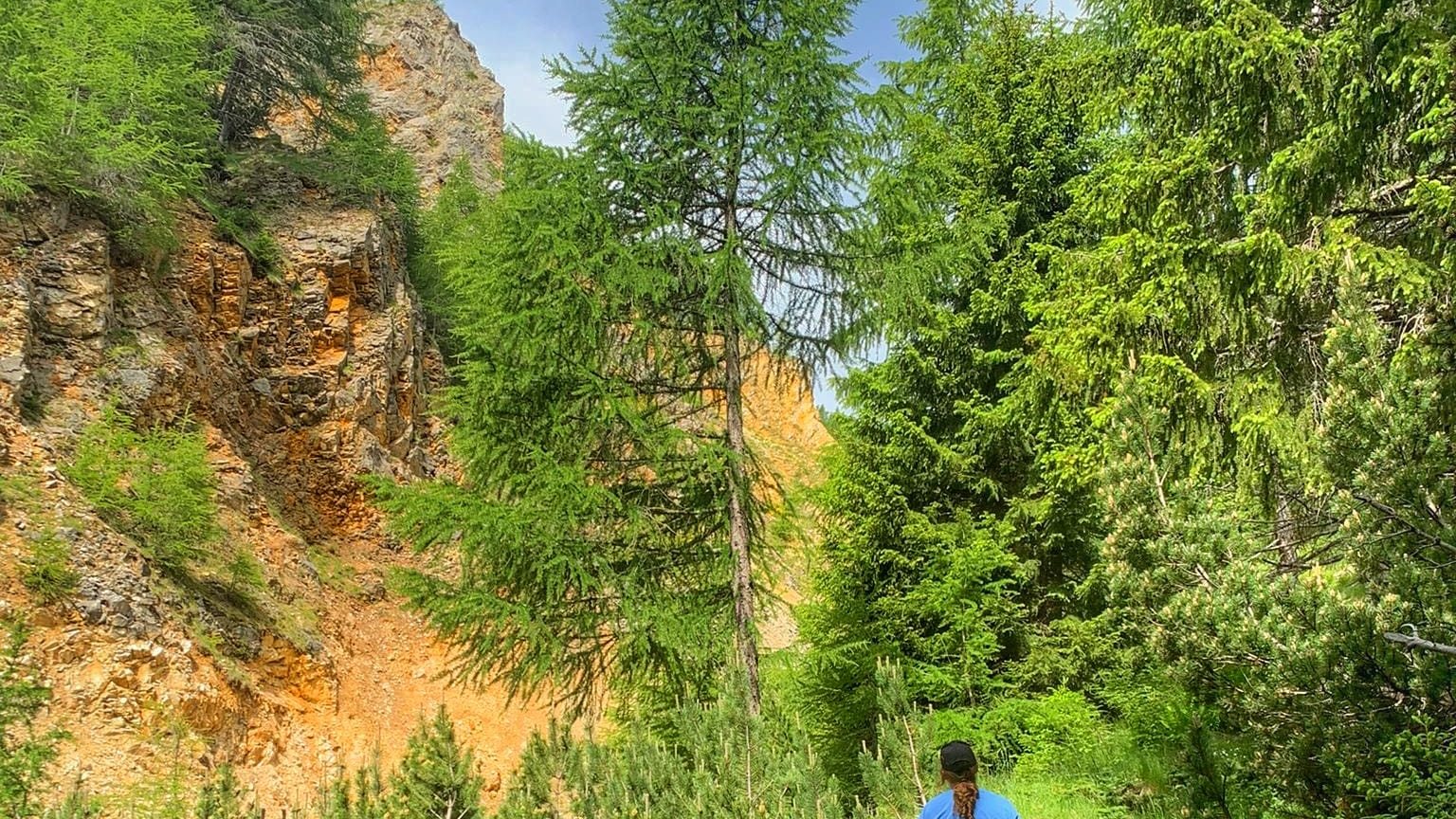 Sentiero a cavallo nel bosco alpino