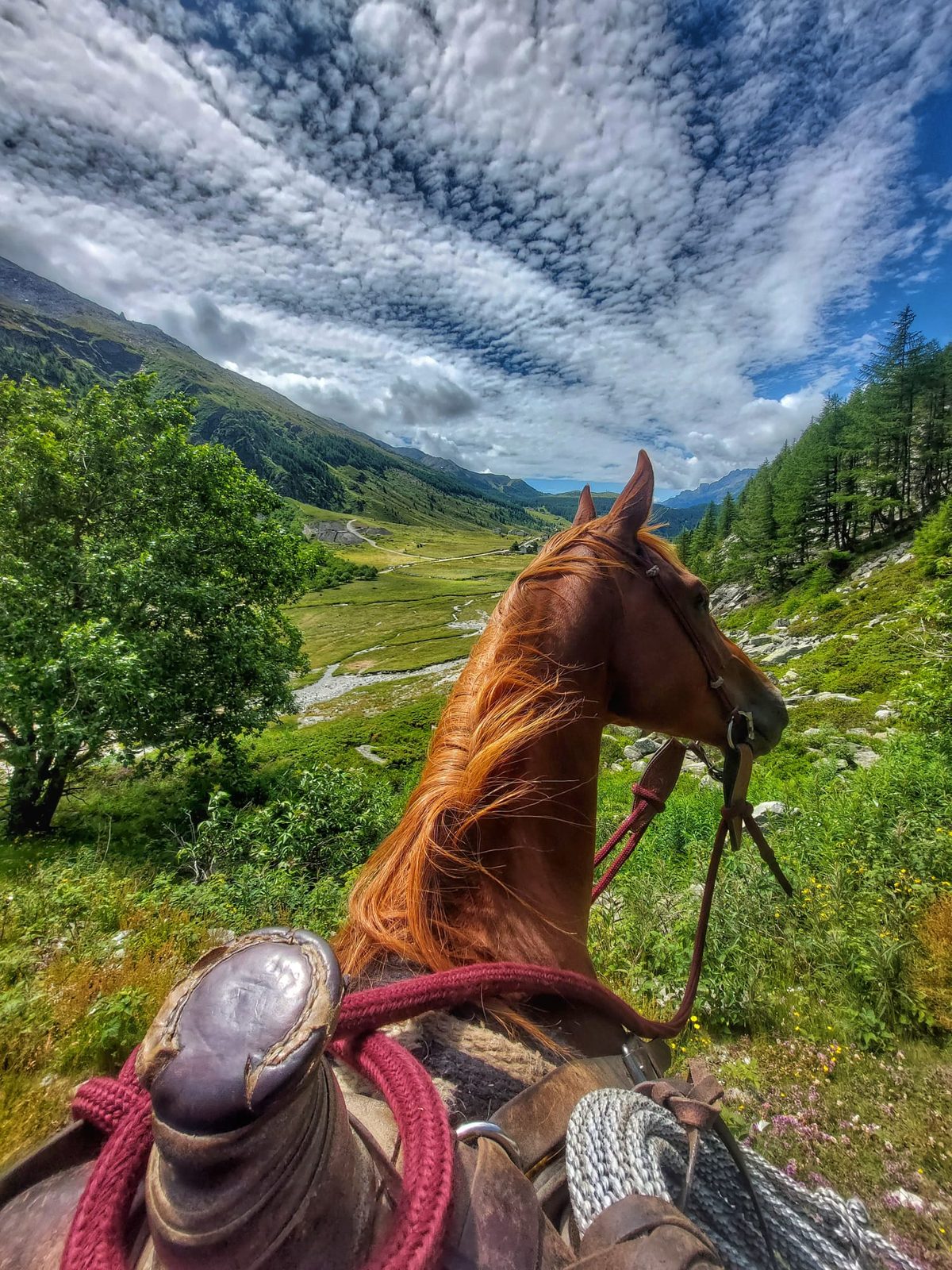 Vista dalla sella sulla vallata